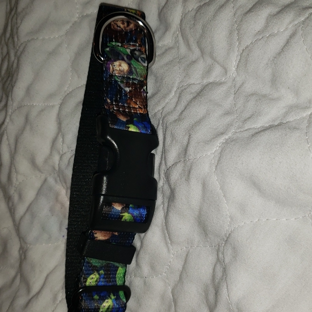 Dog collar